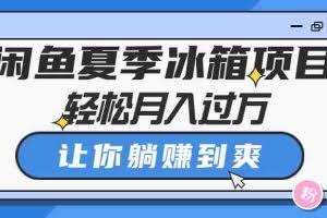 （10673期）闲鱼夏季冰箱项目，轻松月入过万，让你躺赚到爽
