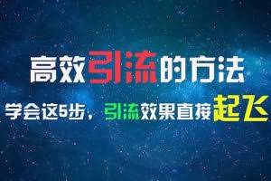 (11776期)高效引流的方法,可以帮助你日引300+创业粉,一年轻松收入30万,比打工强