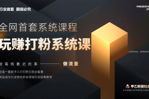 (12037期)全网首套系统打粉课,日入3000+,手把手各行引流SOP团队实战教程
