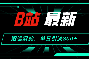 (12085期)B站最新,搬运混剪,单日引流300+创业粉