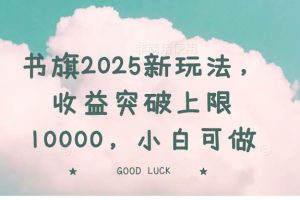 （14519期）书旗2025新玩法，收益突破上限10000，小白可做