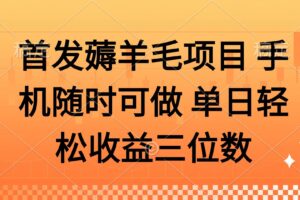 （14686期）薅羊毛项目 手机随时可做 单日轻松收益三位数