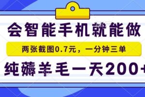 （15209期）2025年零撸手机项目 二十秒一单 纯薅羊毛 一天200+做就有