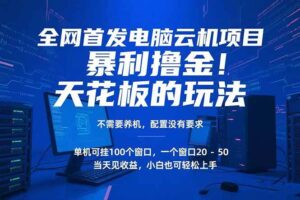 （15323期）电脑云机项目 暴力撸金玩法，不需要养机 配置没有要求 单机100个窗口一…