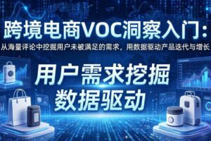 (17796期)跨境电商VOC洞察入门:从海量评论中挖掘用户未被满足的需求,用数据驱动产品迭代与增长